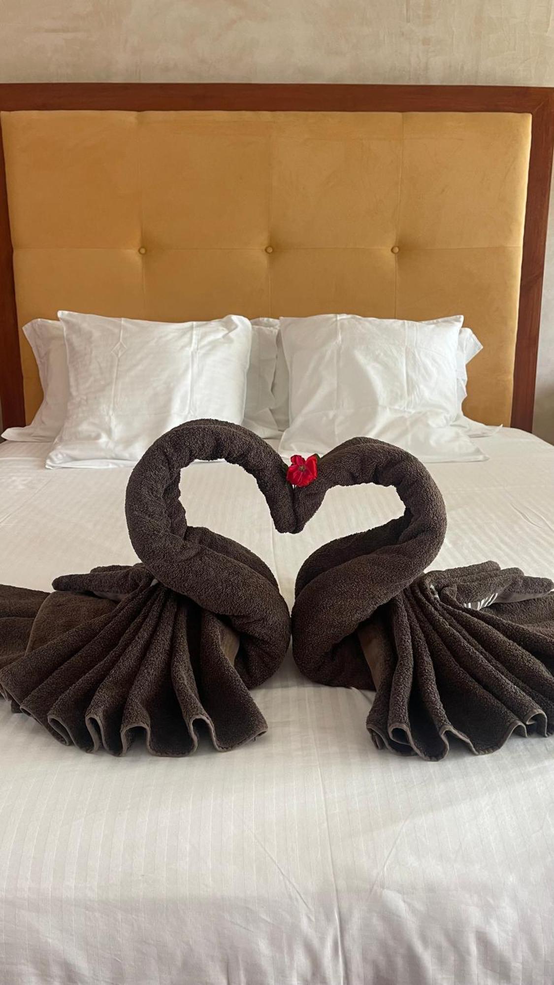B&B Les 4 Mondes Vieux-Boucau-les-Bains Dış mekan fotoğraf